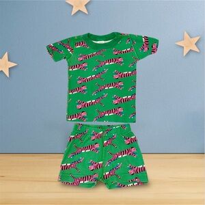 Hanna Andersson Green Pajama Set with Pink Tiger Print